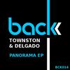 Panorma - Townston&Delgado