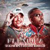 Flexiona (Explicit) - Mc Nego Boy&Mc LM&Dj Alvim MPC&DJ Giovanne Mandelão