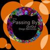 Passing By (Diego Berrondo Remix) - QuiQui