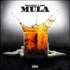 Mula(feat. Gbc) (Explicit) - Section 8&GBC