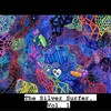 Silverr Surfer(feat. Boy Floss) (Explicit) - Mike Lynxx&BOY FLOSS
