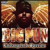 Brave In The Heart (Explicit) - Big Pun&Terror Squad