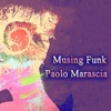 Musing Funk (Original Mix) - Paolo Marascia