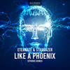 Like A Phoenix (Ephoric Remix) - Eternate&Ephoric&stargazer