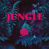 Jungle Bass - DJL