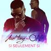 Si seulement si(feat. OMI) - Axel Tony&OMI