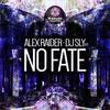 No Fate (Alex Raider Mix) - Alex Raider&DJ Sly (IT)