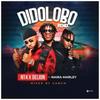 Didolobo(feat. NT4 & Naira Marley) - DJ AB&NT4&Naira Marley