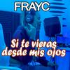 Si Te Vieras Desde Mis Ojos - FrayC