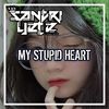 Sound my stupid heart remix tiktok - Santri YETE&Astro Music Group&Unknown Singer