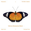 The Age of Love (Solomun Renaissance Remix) - Age Of Love