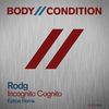 Incognito Cognito (Estroe Remix) - Rodg