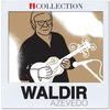 Flor do Cerrado - Waldir Azevedo