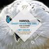 Shoot Down The Owl (Original Mix) - Hansol&DJ Crown