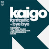 Fantastic (P.VISNADI Remix) - Kaigo