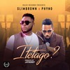 Itetago - Slim Brown&Phyno