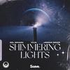 Shimmering Lights - Sol Novaro&VLLN&Jordan Grace&Emanuele Novaro&Fabio Villani