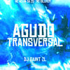 AGUDO TRANSVERSAL (Explicit) - MC SILLVEER&DJ SAINT ZL&Mc Novin da ZS