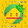 Pump - Nasled&Lars&813