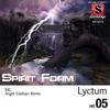 Spirit Form (Angel Esteban Remix) - Lyctum