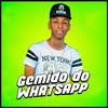 Gemido do WhatsApp - MC Leleto