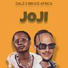 Joji - Dalz&Bruce Africa