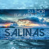 Salinas (Akeem One Soul Mix) - D.J. Thor&Aaron Tesser&Akeem One Soul