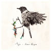 A Sunday Tune - Morja