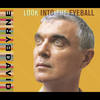 Broken Things - David Byrne