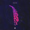 Kalium - Gater