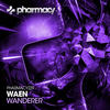 Wanderer (Original Mix) - Waen