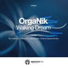 Waking Dream (Enertia-Sound Remix) - Organik