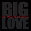 Big Love - She Wants Revenge