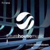 Hold It Down - Brooks