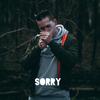 Sorry(feat. Kaascouse) (Explicit) - Wevan&Kaascouse