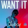 Want It - Skyboy