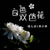 白色双色花 - 诗人凉&乔小乔