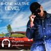 Level(feat. B-One Kultive) - DJ Michael Berth&B-One Kultive