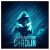 Shaolin (Original Mix) - SAG&Flowmotion