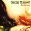 Merlin (Infected Remix) - Infected Mushroom