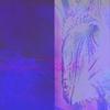 Arde Roma(feat. Og Pep) - nycdil 2000&Og Pep