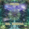 The Great Indoors (Original Mix) - Psypien