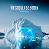 We Should Be Sorry - Axel Johansson