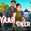 Yaar Diler - Vipin Foji