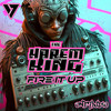 Fire It Up (Original Mix) - The Harem King