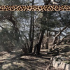 Love Potion (Original Mix) - Andreas Foxx