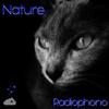 Nature (Original Mix) - Radiophono