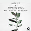 No Trust In This World (Original Mix) - InQfive&Thab De Soul