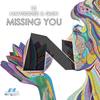 Missing You (Original Mix) - Mavgoose & Quin