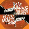 Scaramunga (B-Dub Soul Shake remix) - Ray Harris&The Fusion Experience